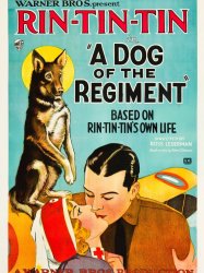 A Dog of the Regiment