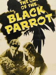 The Case of the Black Parrot