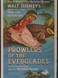 Prowlers of the Everglades