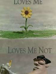 Loves Me, Loves Me Not