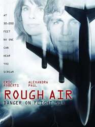 Rough Air: Danger on Flight 534