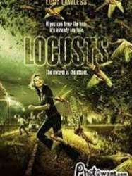 Locusts