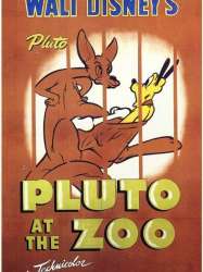 Pluto at the Zoo