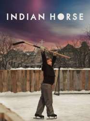 Indian Horse