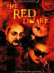 The Red Dwarf