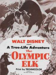 The Olympic Elk