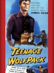 Teenage Wolfpack