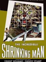 The Incredible Shrinking Man