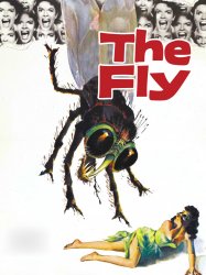 The Fly