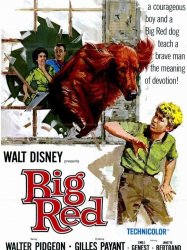 Big Red