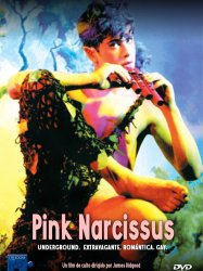 Pink Narcissus