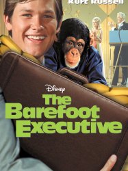 The Barefoot Executive