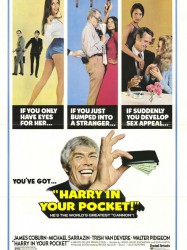 Harry in Your Pocket