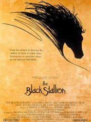 The Black Stallion