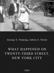 What Happened on Twenty-Third Street, New York City