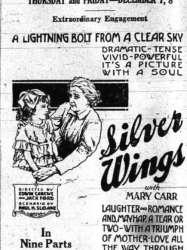 Silver Wings