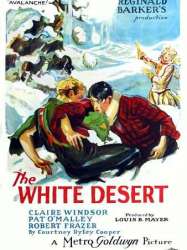 The White Desert