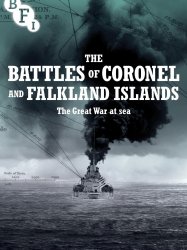 The Battles of Coronel and Falkland Islands