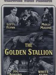 The Golden Stallion