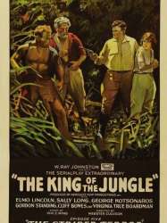 King of the Jungle (serial)