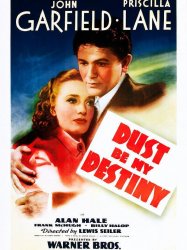 Dust Be My Destiny