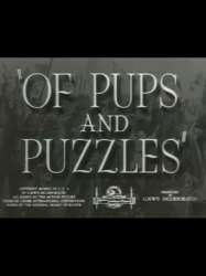 Of Pups and Puzzles