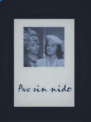 Ave sin nido