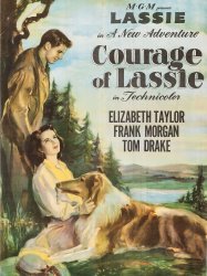 Courage of Lassie