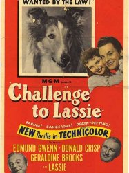 Challenge to Lassie