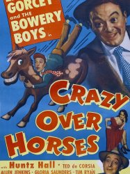 Crazy Over Horses