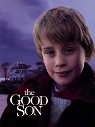 The Good Son