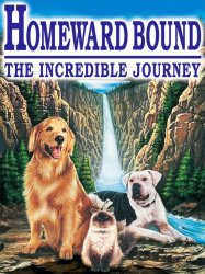 Homeward Bound: The Incredible Journey