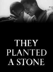 They Planted a Stone