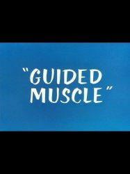 Guided Muscle