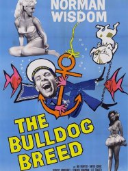 The Bulldog Breed