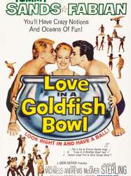 Love in a Goldfish Bowl