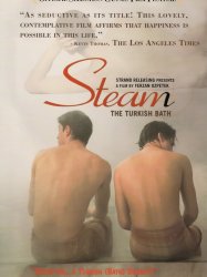 Steam: The Turkish Bath