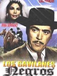 Los gavilanes negros