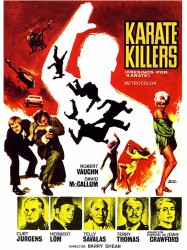 The Karate Killers