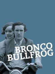 Bronco Bullfrog