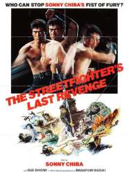 The Street Fighter's Last Revenge