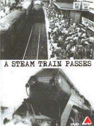 A Steam Train Passes