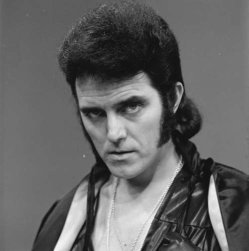 Alvin Stardust