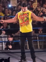 Hulk Hogan